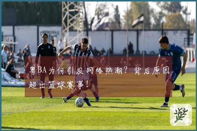 粤BA为何引发网络热潮？背后原因超出篮球赛事！