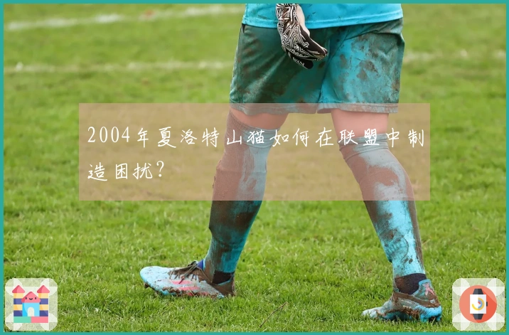2004年夏洛特山猫如何在联盟中制造困扰？